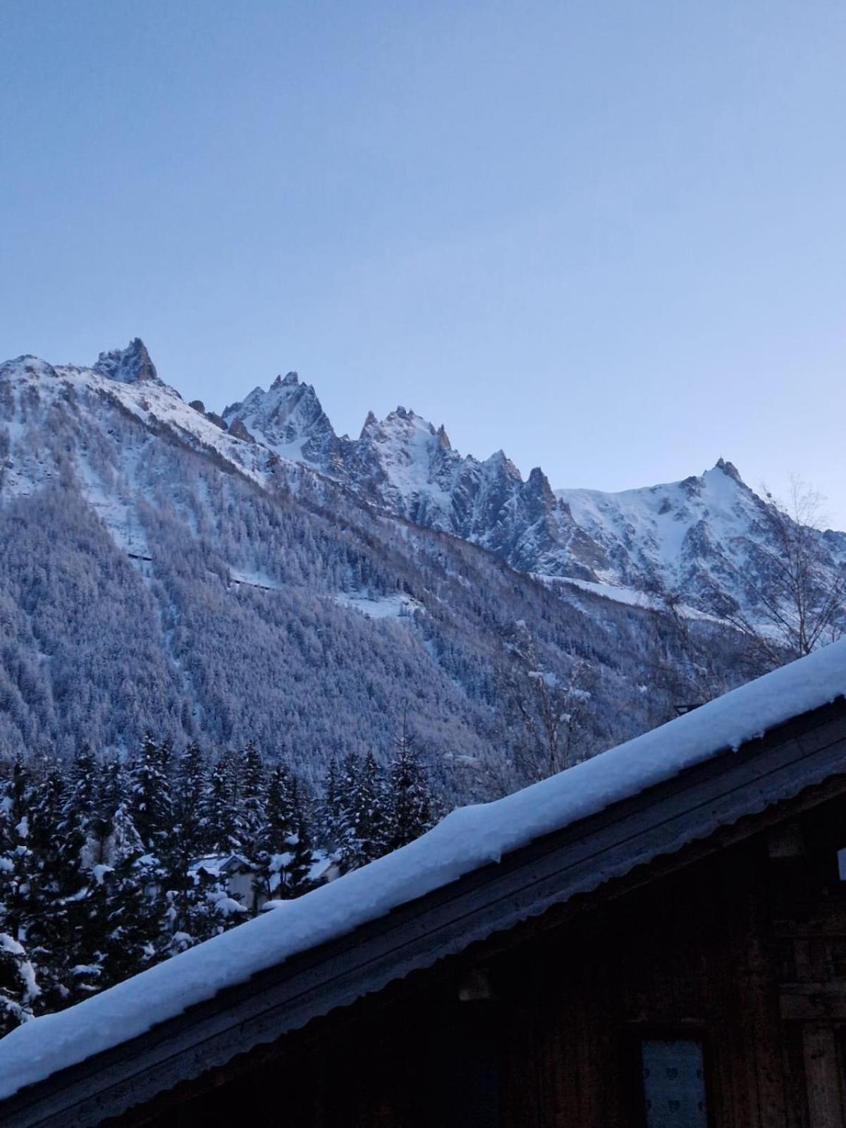 Appartement ensoleillé aux Tines, vue Massif Chamonix Extérieur photo